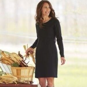 Wherewithall Ponte Knit Dress from Duluth Trading Company